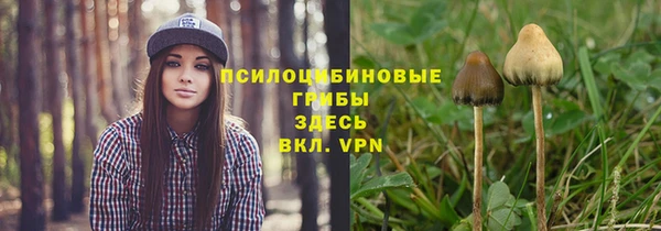 герыч Белокуриха