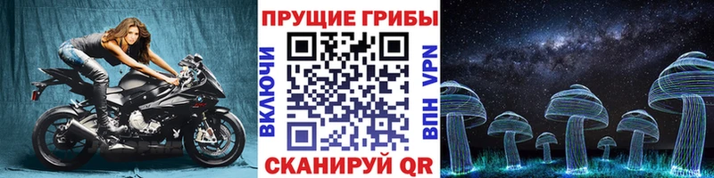 Галлюциногенные грибы Magic Shrooms  Верхний Тагил 